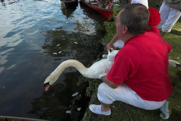 Swan Upping © 2006, Peter Marshall