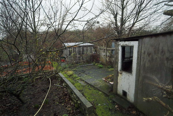 Manor Garden Allotments, Hackney Wick © Peter Marshall, 2007