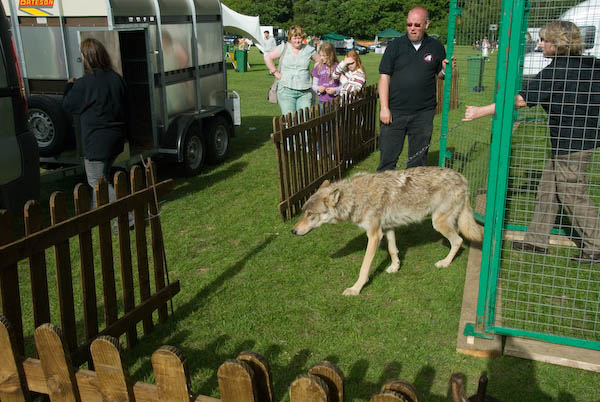 Walton-on-the-Hill May Pageant © 2007, Peter Marshall