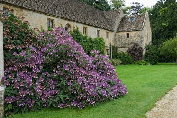 Lacock Abbey © 2007, Peter Marshall. Not available for reproduction